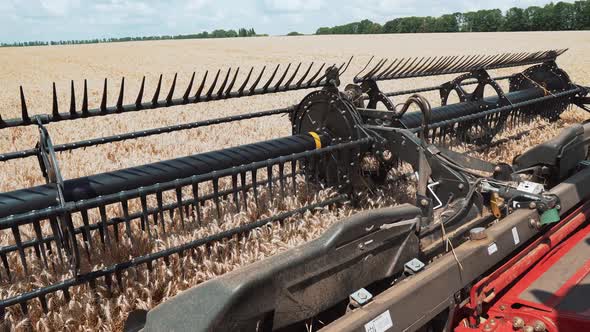 Harvester mower mechanism in the process of harvesting wheat grain