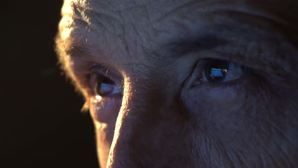 Closeup of the Focused Eyes of a Businessman Wearing Computer