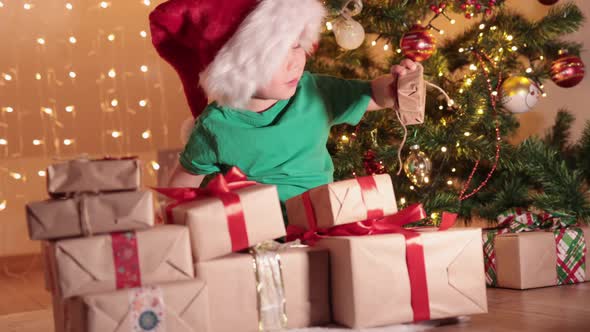 Little Child Kid Boy Green Shirt and Red Santa Hat Under Fir Tree with Presents