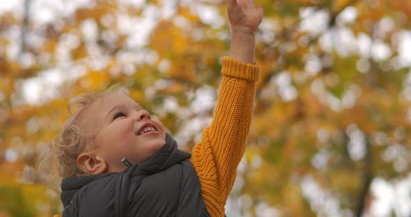 Happy Little Child Is Stretching Hand To Yellow Leaves on Tree at Autumn Day, Laughing and Smiling