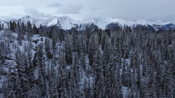Mountain range behind peak pine forest in snow