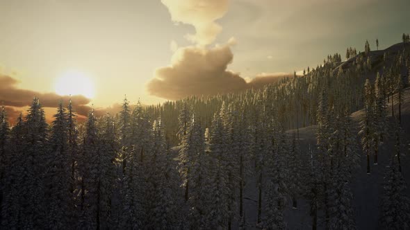 Winter Landscape on a Sunset