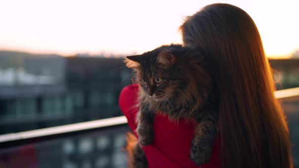 Woman in a Red Dress Stands on a Balcony at Sunset and Holds a Fluffy Cat on Her Shoulder