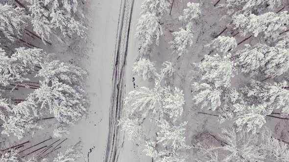 Country Road in Snowy Forest on Winter Time, Aerial View From Drone. Scenic Winter Landscape.