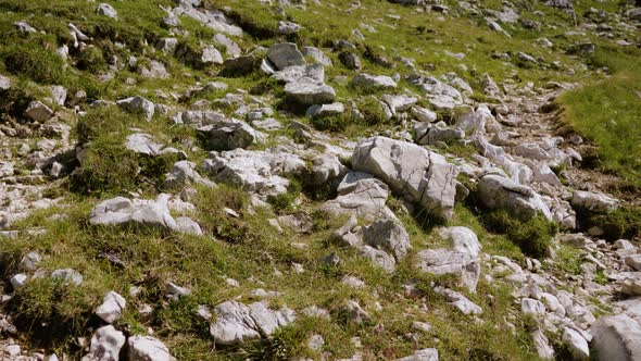 Boulders Among Green Grass on the Rocky Mountain