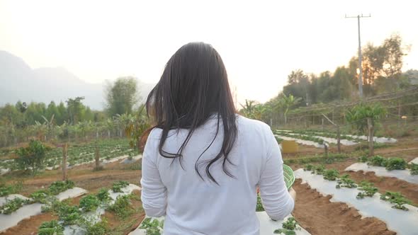 Girl Walking In Strawberry Farm