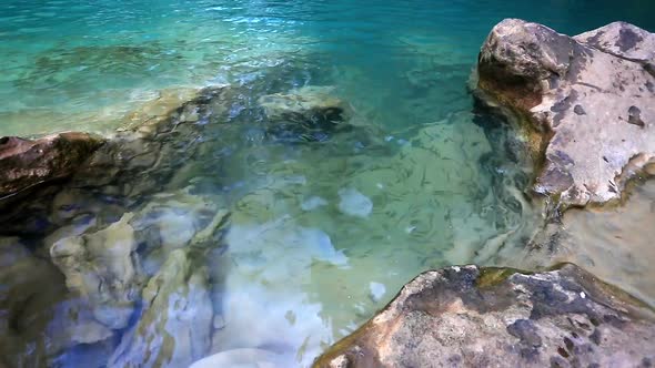 Fish Swimming In Khor Louang Waterfall In Lamphun Thailand