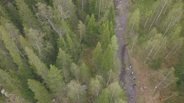 Top View Of Group Of Tourists Walking Along Forest Trail