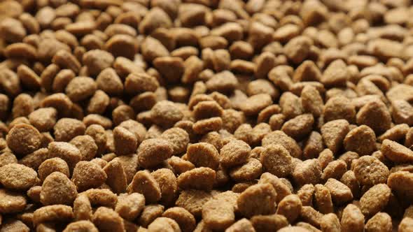 Slow tilt on pile of pet dry food 4K 2160p 30fps UltraHD footage - Extruded  pellet meal for domesti