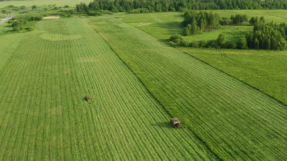 Aerial View Tractor Removes Grass From the Field