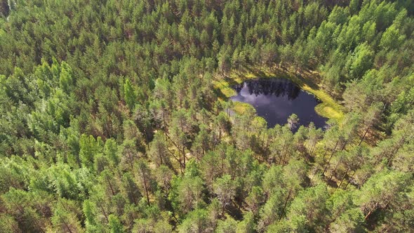 Stunning sliding drone shot of a very beautiful small forest pond in the Finnish wilderness.