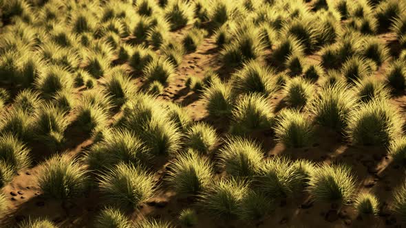 Desert Landscape in Crater National Park