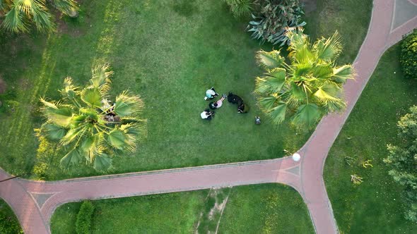 Landscaping in the park Alanya Turkey 4 k