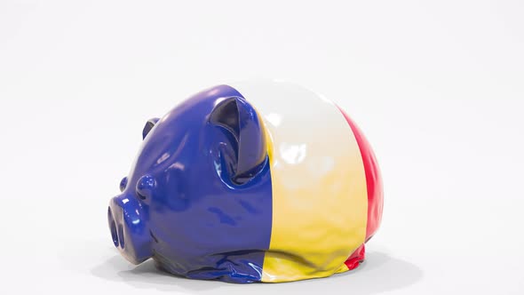 Deflating Piggy Bank with Printed Flag of Romania