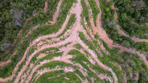 Aerial view land clearing at hill slope