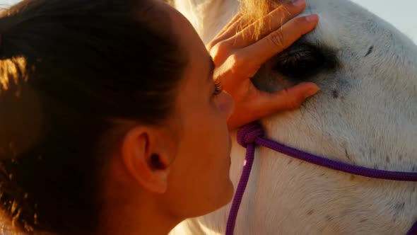 Veterinarian doctor checking the horse 4k