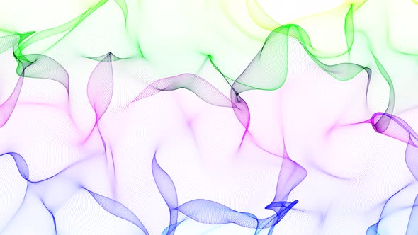 New Colorful Line Wave Animated On White Background