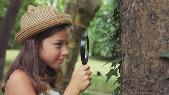 Portrait of cute little girl in a straw hat looks at the tree bark through a magnifying glass