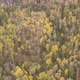 Aerial View of Beautiful Autumn Forest and Rocks in Siberia. - VideoHive Item for Sale