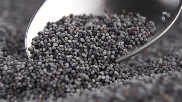 Macro shot of dry poppy seeds falling from a spoon into a heap with rotation