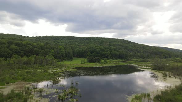 Allegheny National forest and pond drone video fly over in the summer.