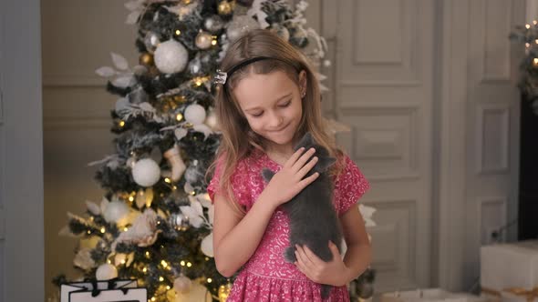 Happy Little Girl Holds Kitten By Christmas Tree