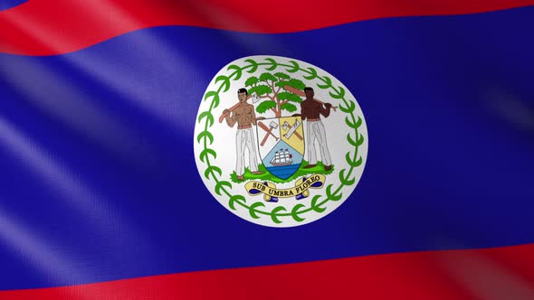 Flag of The Belize