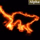 Fire Panther - VideoHive Item for Sale
