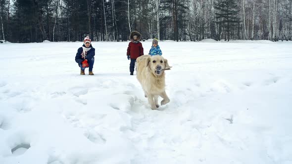 Playful Furry Friend 