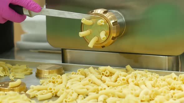 Machine To Make Noodles