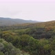 Autumn Forest Aerial View - VideoHive Item for Sale