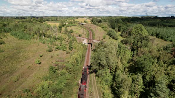 Diesel Train Locomotive travels underneath a bridge corridor through lush green landscape on a cloud