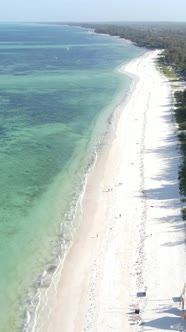 Beach on the Coast of Zanzibar Island Tanzania