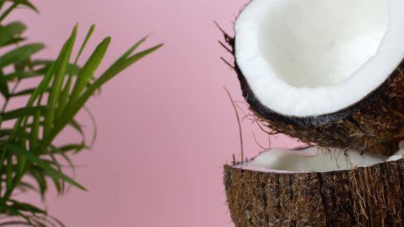 Coconut nut. Juicy ripe split coconut into which coconut milk is poured, on a pink background