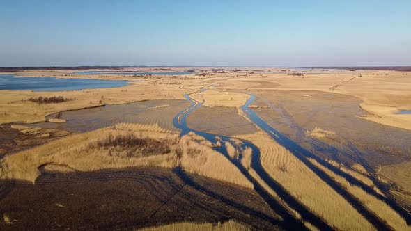 Aerial view of the lake overgrown with brown reeds, lake Pape nature park, Rucava, Latvia, sunny spr