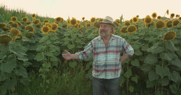 Portrait of Handsome Senior Farmer in Hat Smiling at Camera in Sunflower Field