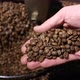 Coffee Roasting - VideoHive Item for Sale
