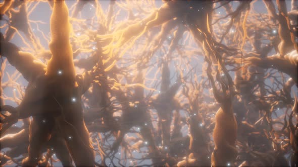 Journey Through a Neuron Cell Network Inside the Brain alt