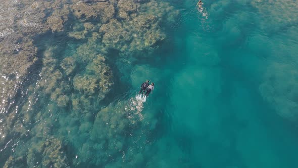 Couple Snorkeling Together Hand in Hand Within Beautiful Marine Area