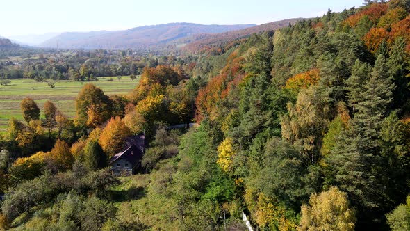 Aerial View of Autumn Forest in Low Carpathian Mountains