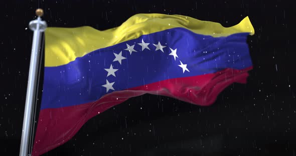 Venezuela Flag Waving