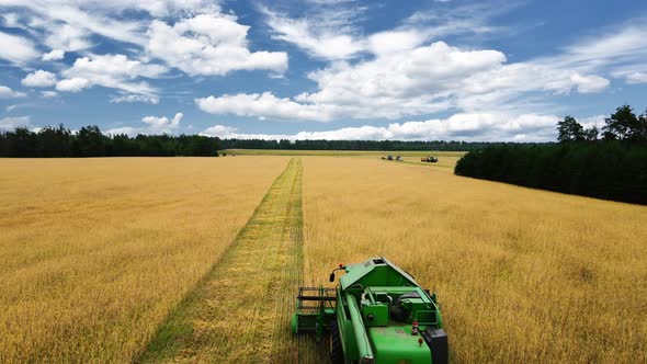 Drone flying over combine harvester working on wheat field 