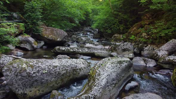 Aerial View of a Stream in the Forest in Rhodope Mountains Near the Town of Devin