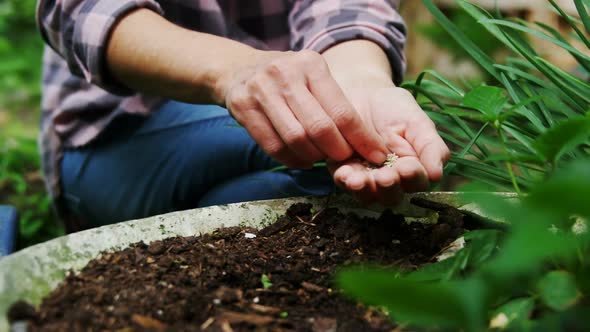 Woman sowing seeds in the garden