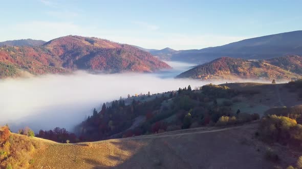 A Wonderful Feeling of a Moving Cloud on a Mountain After Rain