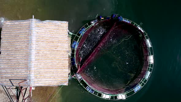 Aerial View Trout Aquaculture