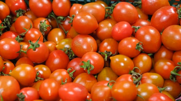 Cherry Tomatoes at the Vegetable Market