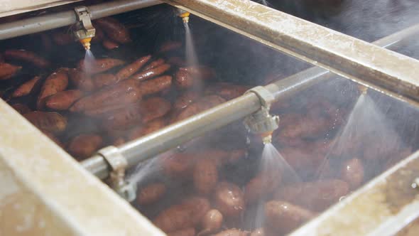 Washing and sorting of sweet potatoes in an agricultural packing facility