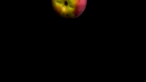 Peach Falls in the Water in Slow Motion. Isolated on Black Background with Alpha. Close Up View