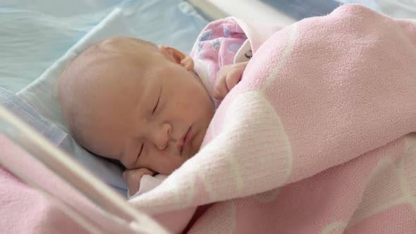 Newborn Baby Girl Asleep